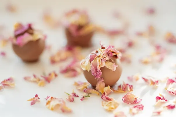 JokerBet Casino Android/iOS アプリ